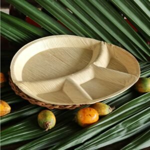 Bagasse / Areca Leaf Tableware